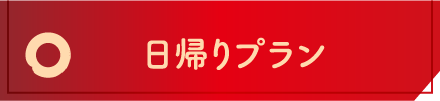 日帰りプラン