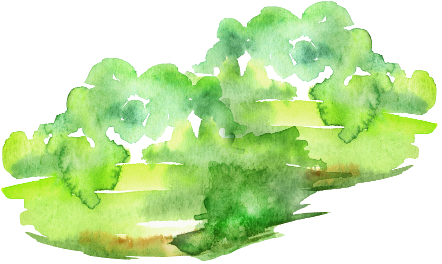 illust