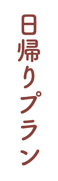 日帰りプラン